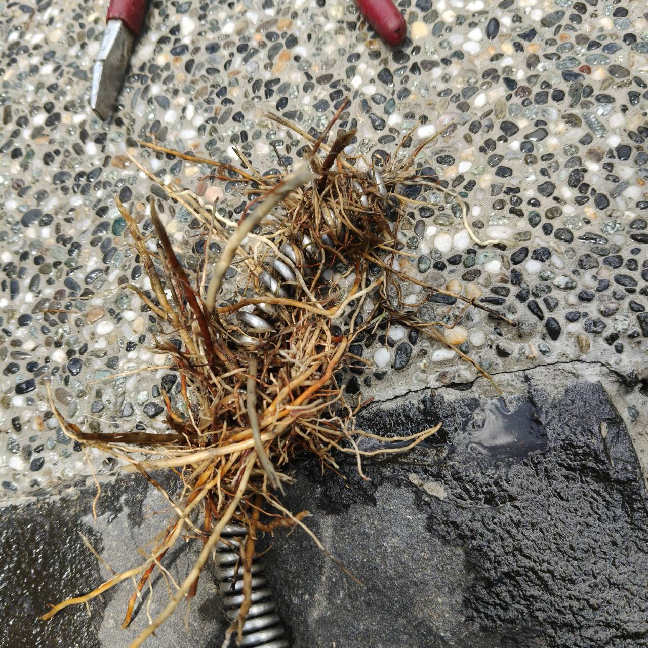 現場照片